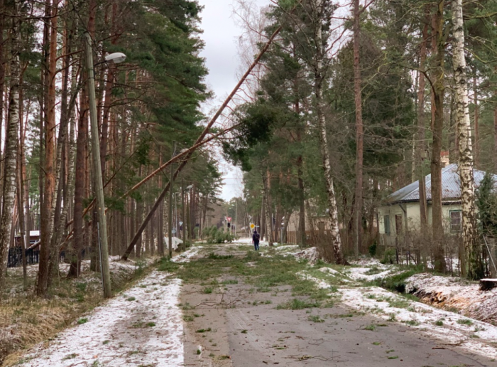 Jūrmala