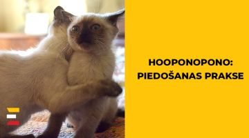 HO’OPONOPONO
