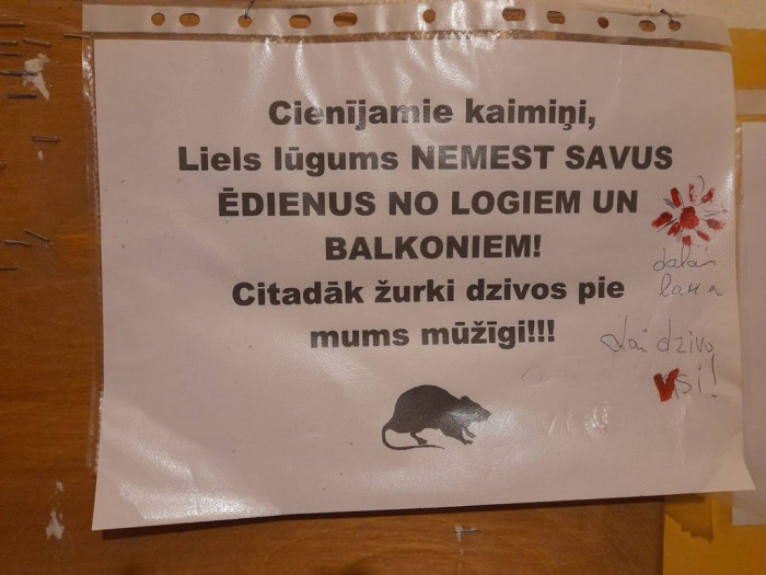 Žurki uz palikšanu...
