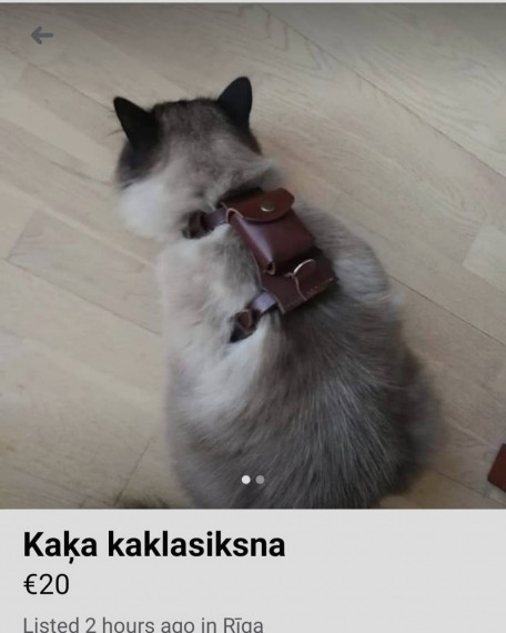 Sapucē savu mincīti!