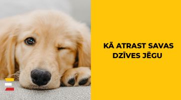 Kā atrast savas DZĪVES JĒGU?